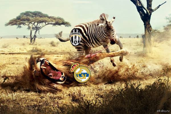   !!!  !! Forza Juve!!