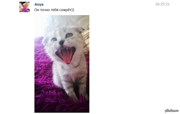   ,             .    ?  :D