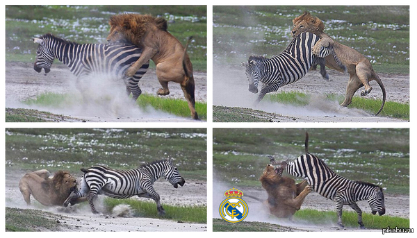 ����� ��� �����...