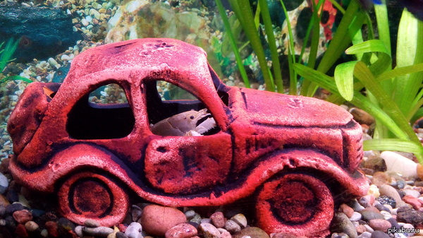 ������ ������ � ��������... �� ������ � �� ������� �����, � ������ �������