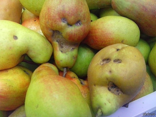 �����  �������