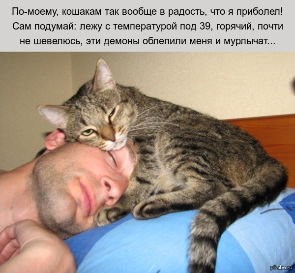 ...   <a href="http://pikabu.ru/story/khozyaina_ne_budit_1599230">http://pikabu.ru/story/_1599230</a>    .   ...