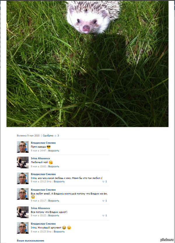 Все любят ежей.