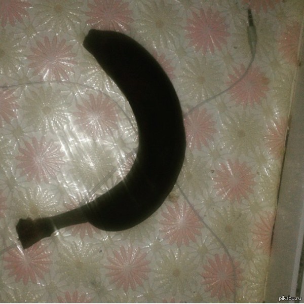 ���� �������, "����� �������"