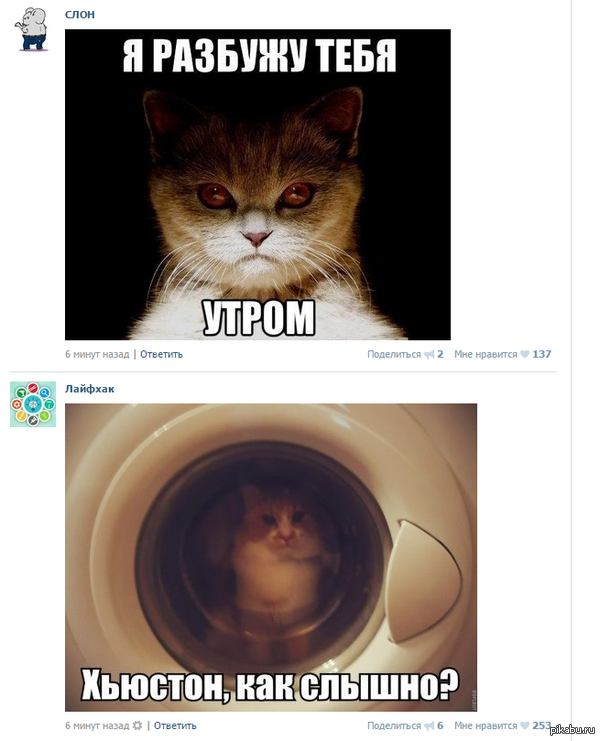 � ����� ������