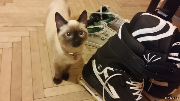 ��� ����