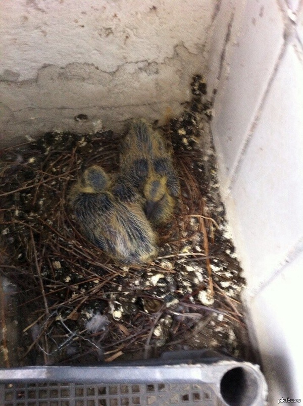 Интересненько