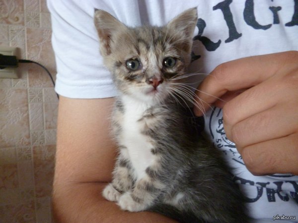 �������-��!