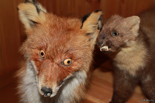 ��������....