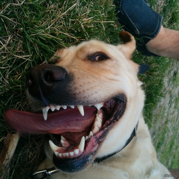 ��� �������� ������, ����� ���� ������ ��������..