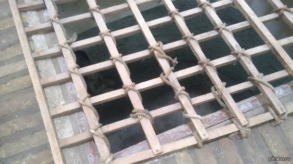 ���� ����� �������� � ������, ������ �������� �������� �� ����