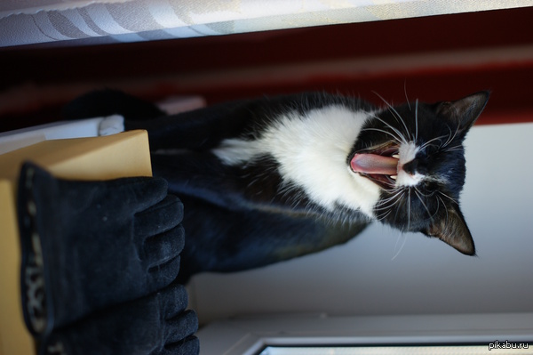 ������� ������