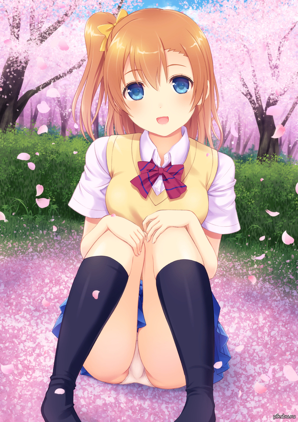 In sakura leaves - NSFW, Anime art, Anime, Pantsu, Stockings