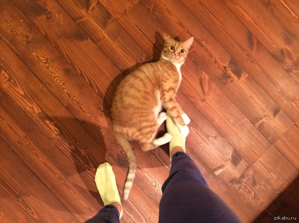 ???    