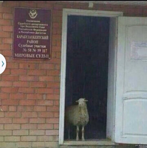 Интересно, это один из сотрудников или обед с доставкой! ?