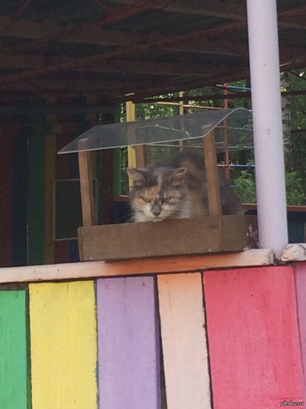 ���� ������� ������ �����! �-������!