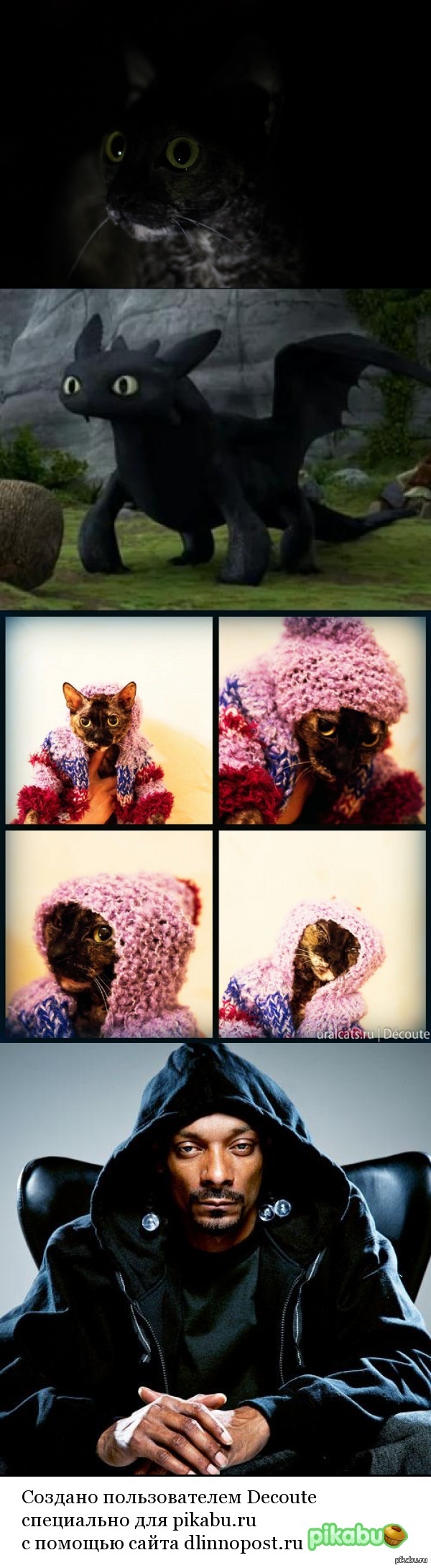 ���� ����������