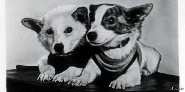 Then I noticed a couple of posts about the first astronauts - Dog, The first flight, Space