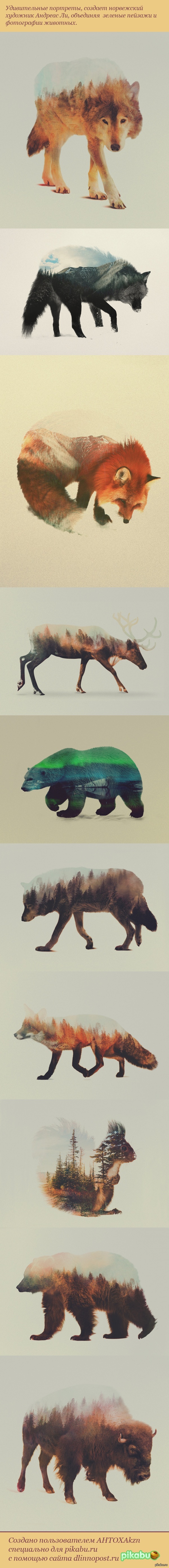 Andreas Lee - Multiple exposure, The photo, Animals, Longpost