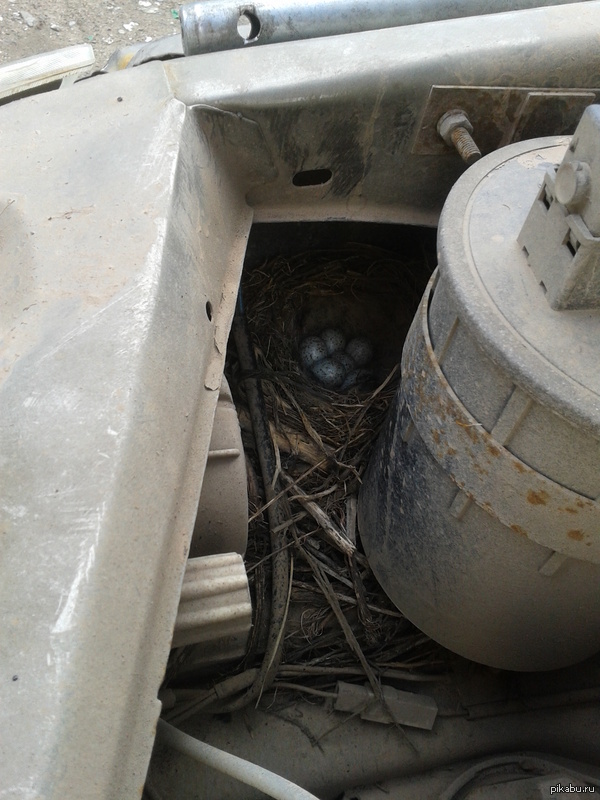 У мну есть завтрак