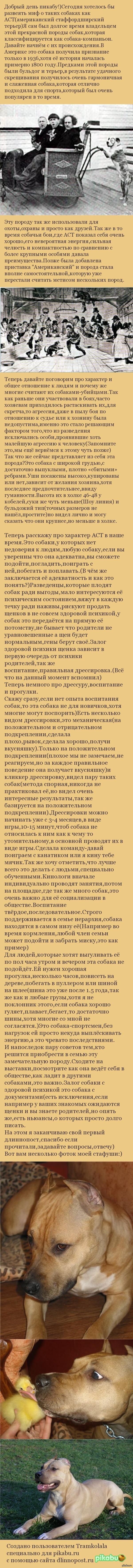  (  ) 