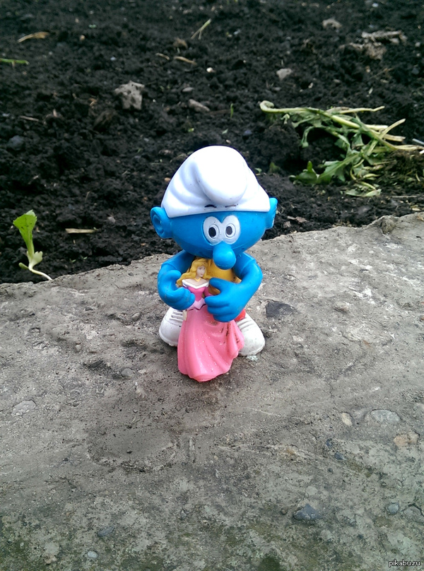 ���������� ����