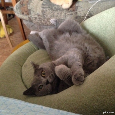 �� ��, ����� ����� ����� ������ ��� ���)