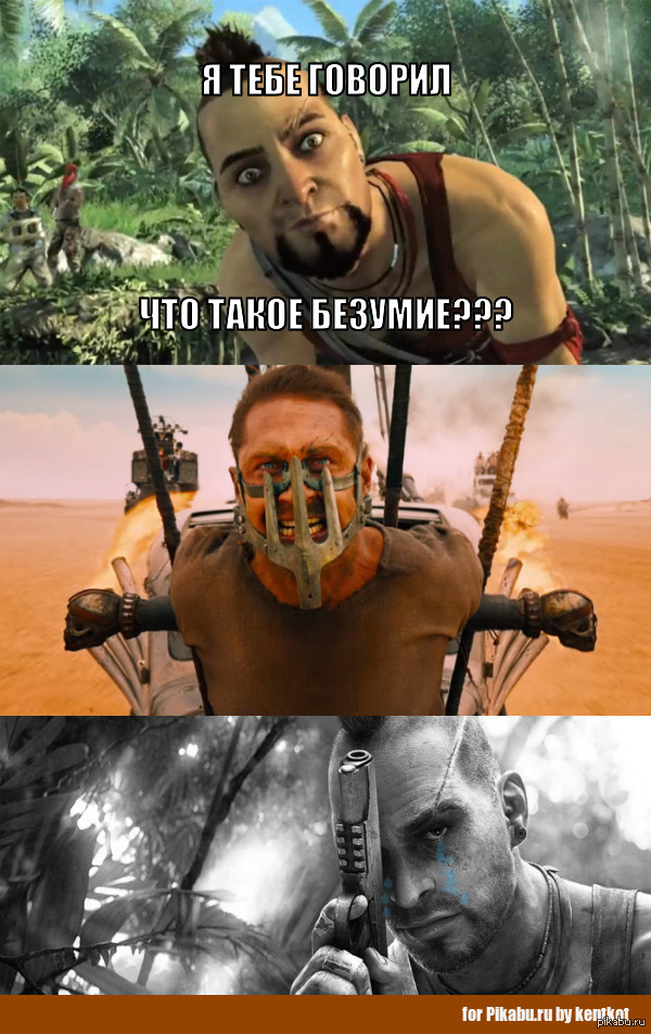 Что такое безумие мем. Ваас Монтенегро. Ваас Монтенегро безумие. Far Cry 3 Васа. Что такое безумие фар край 3.