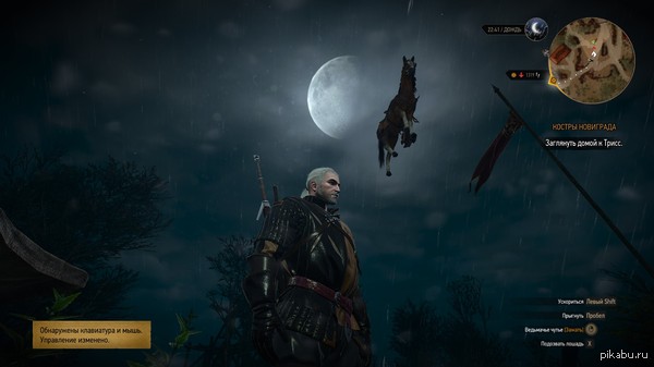 Witcher`s bug    .   