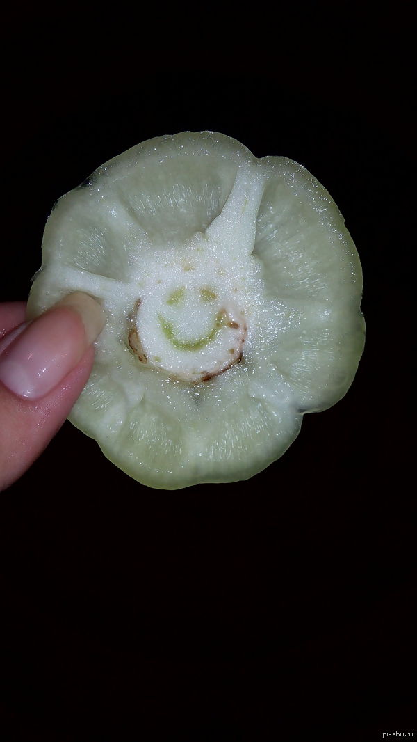 Доброжелательный овощ