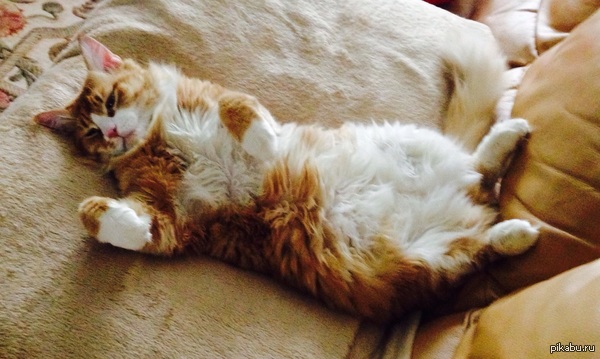 Идешь на работу? Ну иди.