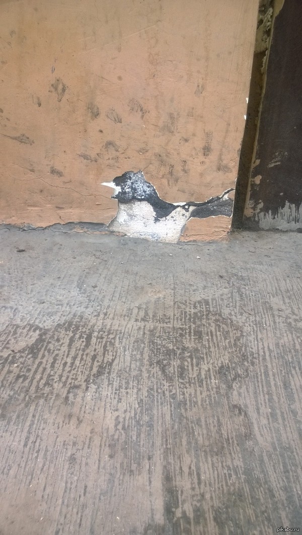 ����������