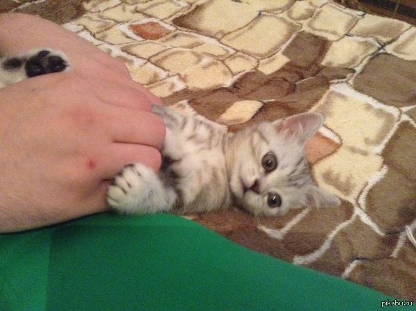 &quot;   ?!&quot;      -    ...