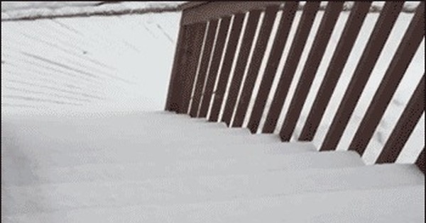 Холодно блин гифка