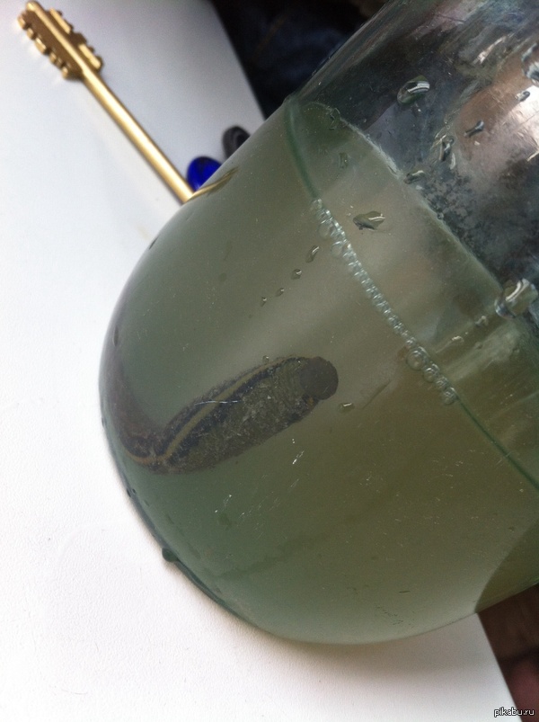 � � ������ ��������� � ��� �������� �����?