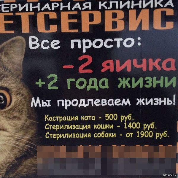 Вот он рецепт долголетия | Пикабу