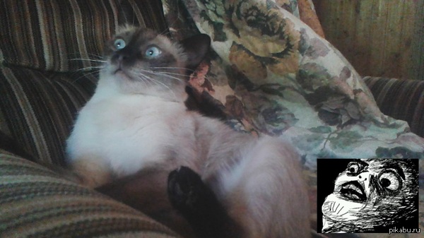 ��������� ������ !!