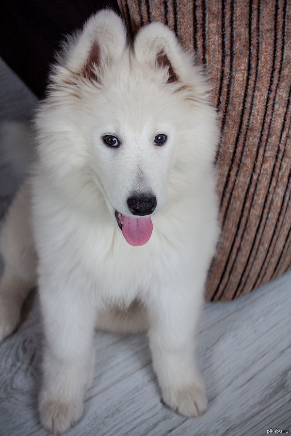 ��������� ������