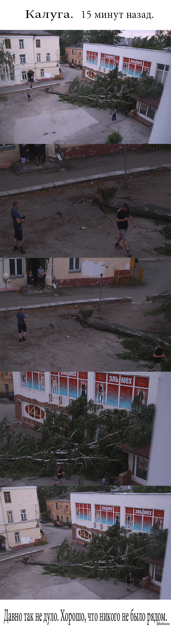 Неожиданно налетел ветер, бушевал минут 10. | Пикабу