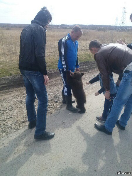 Добро пожаловать в Россию!