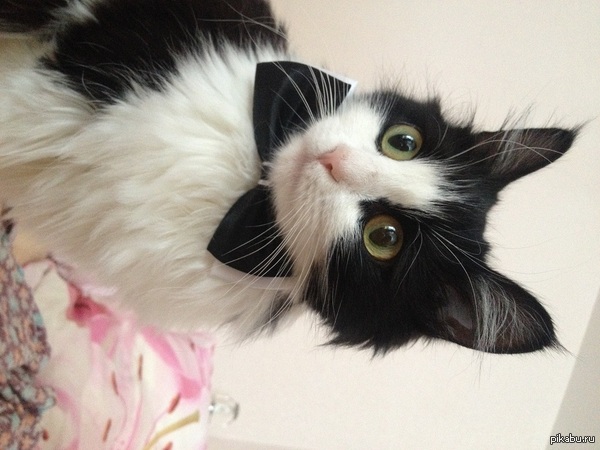 ���, ������ ���!