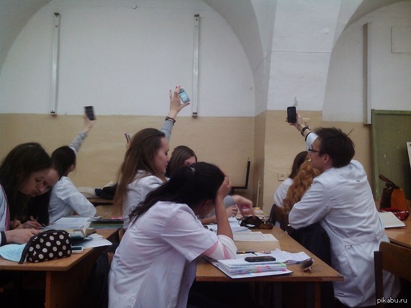 Тяга к знаниям