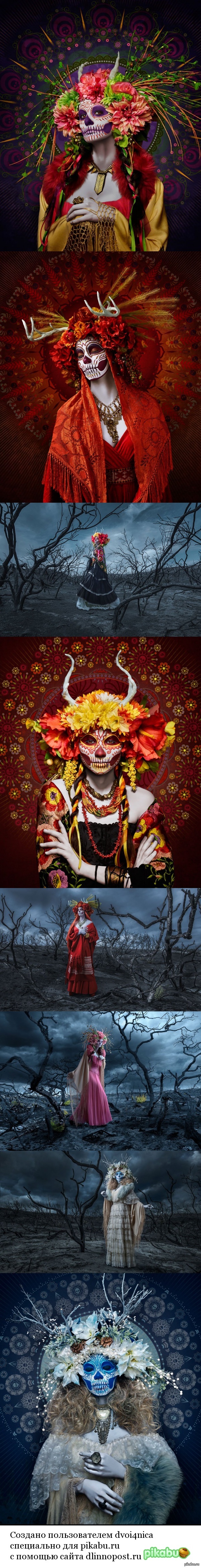 ����������� ������� ������ ����������� � ������� ���� �������