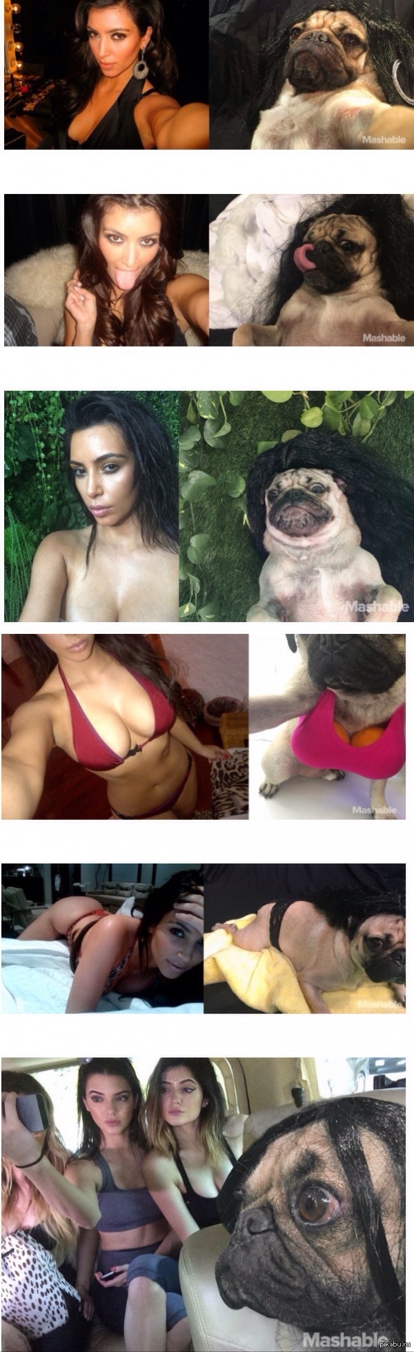 Fit Cosplay - NSFW, Kim Kardashian, Strawberry, Pug, Tjournal, Mashable