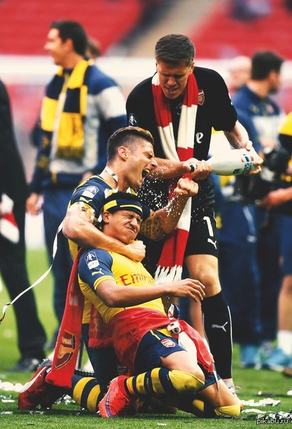 ������� - ���������� ����� ������ ������ 2014/2015