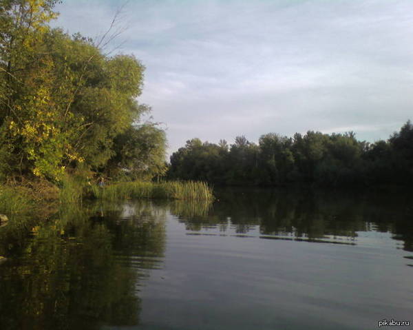 Природа Приуралья