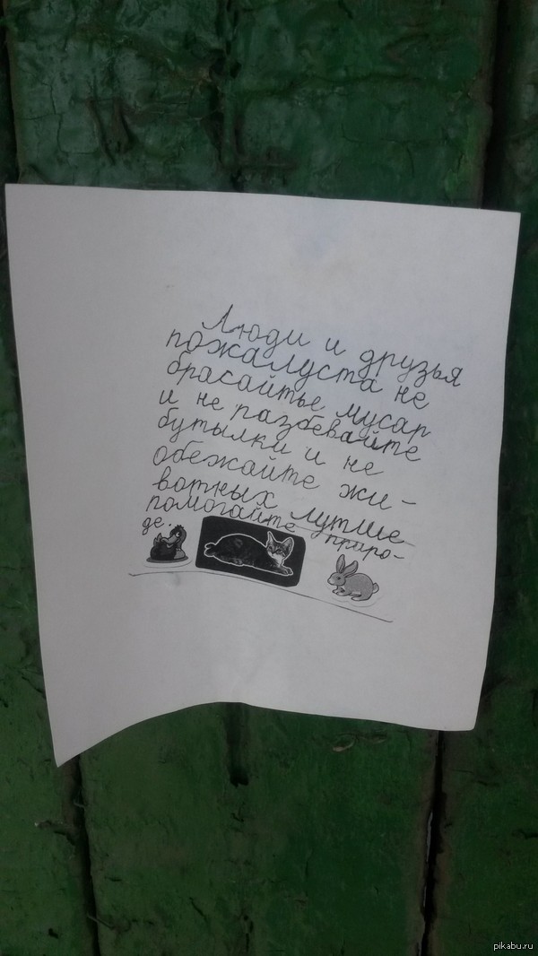 ���� � ������