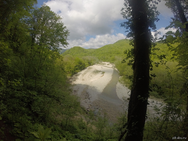    .         ,   ,    .   .