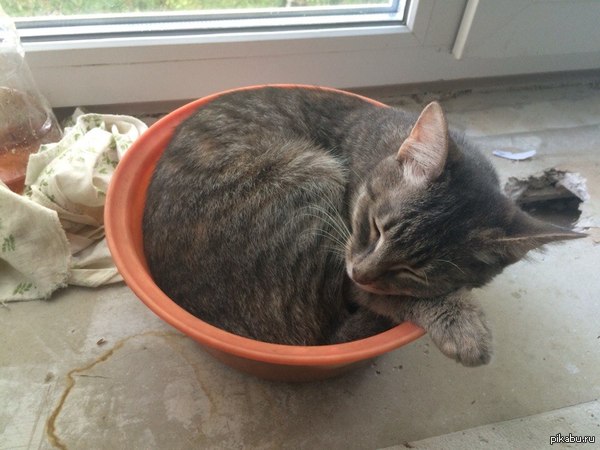 ����� �� ��������� ����� � ����� ������ �����.