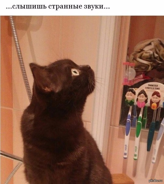 в доме слышны звуки. где слышишь звук а. сочинение на тему какие звуки меня окружают на улице. непонятные звуки. в какой части слова слышится звук.